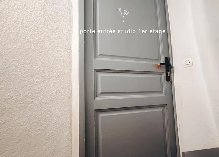 Urban Jungle Parking & Netflix Centre Historique Apartment *